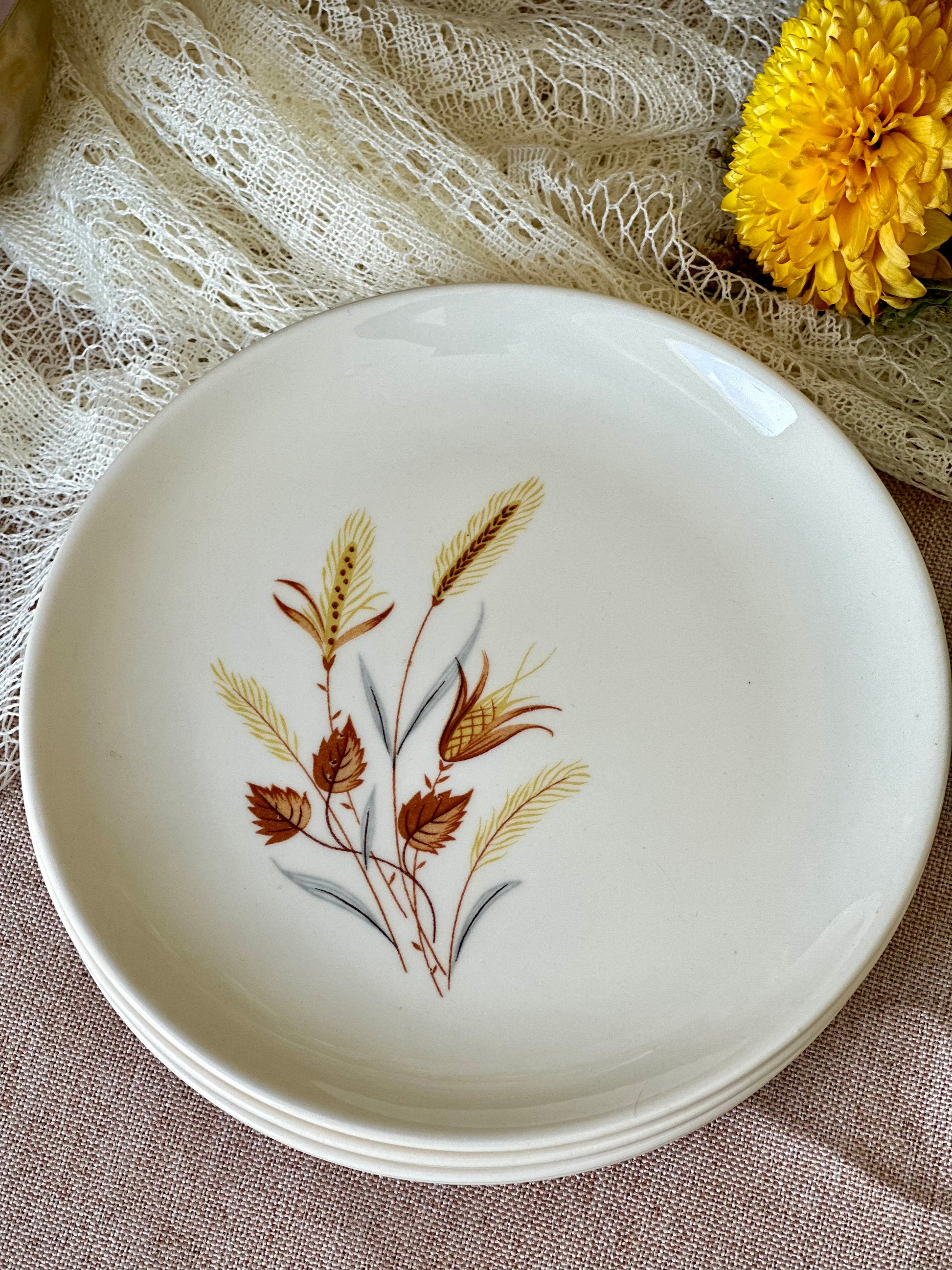 Taylor smith taylor plates cheap