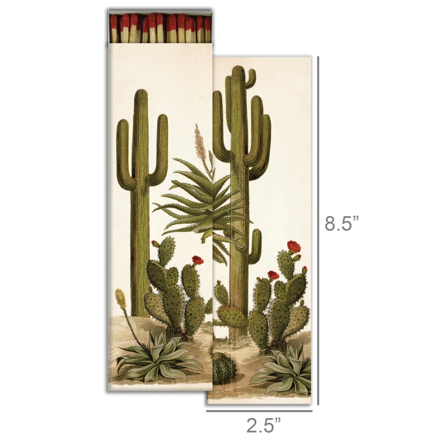 Boho Cactus Matches Tall